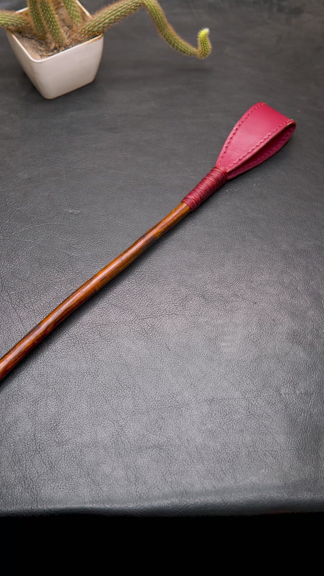 Bovidas Whip video preview – leather whip with red stitched tip and wood handle shown in use and close-up"

